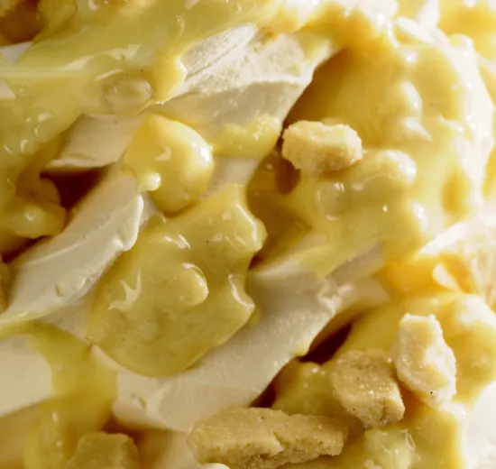 JOYCREAM LEMONBISCOTTO