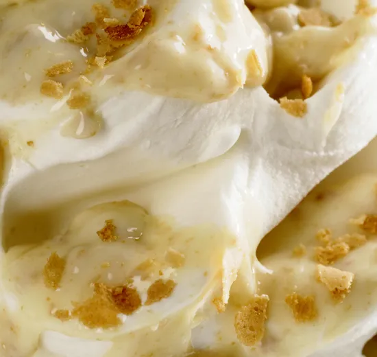 JOYCREAM WHITE CROCK