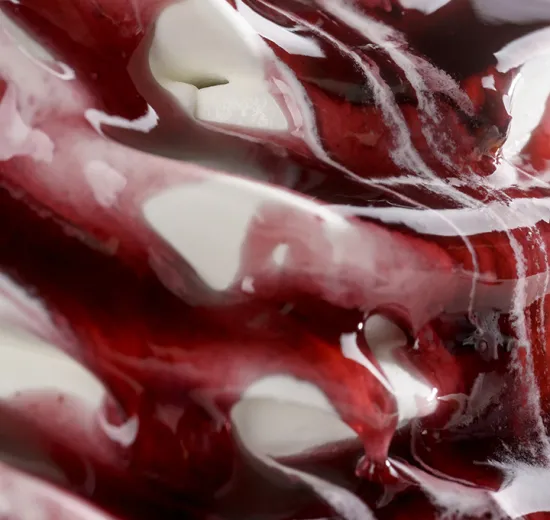 JOYTOPPING FRUTTI DI BOSCO