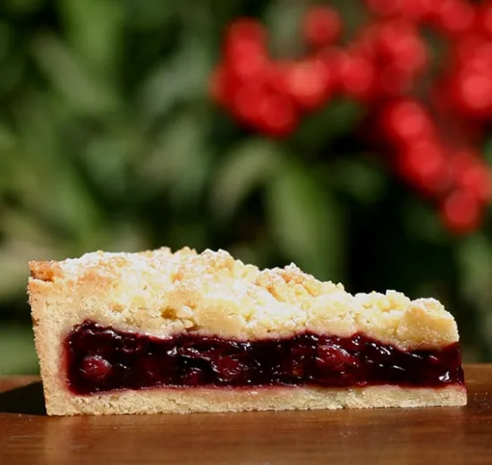 FARCITURA DI FRUTTA - VISCIOLE