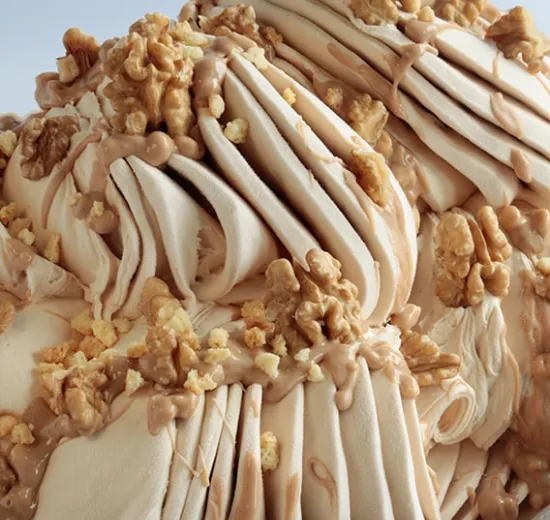 JOYCREAM CARAMEL BISCOTTO