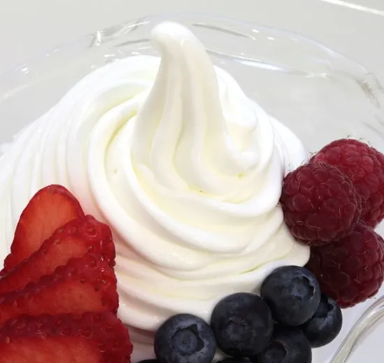 JOYSOFT FROZEN YOGURTOP