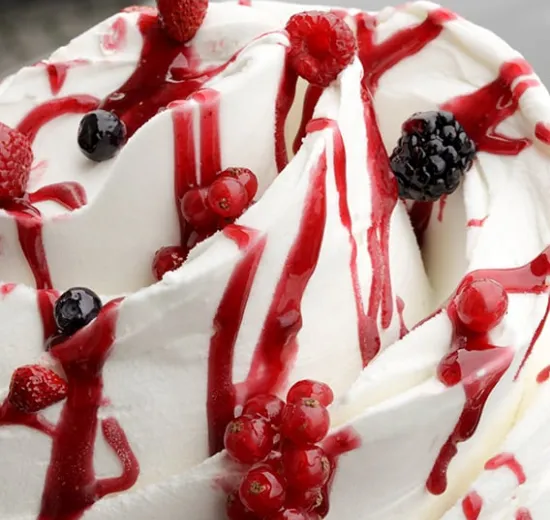 JOYTOPPING FRUTTI DI BOSCO