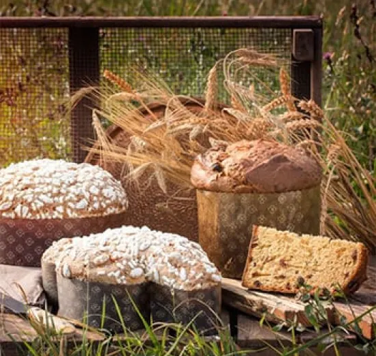 CEREAL'EAT LIEVITATI