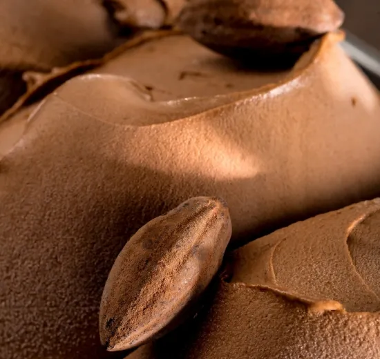 Gelato gianduia con massa di cacao e Base Neutra con fibre 15g Domori