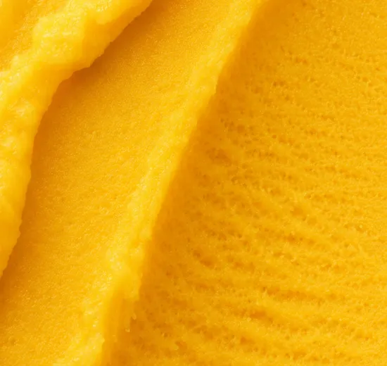 Mango Sorbet