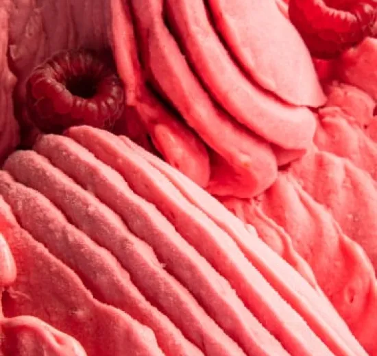 FRUIT ICE CREAM WITH JOYBASE PREMIUM FRUIT 100