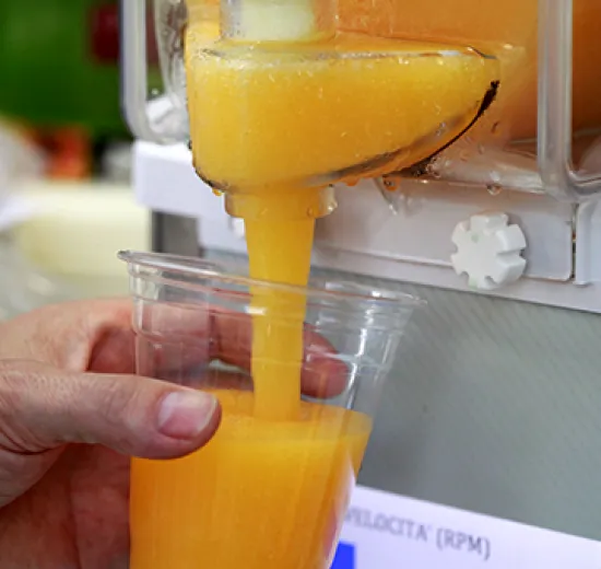 SLUSH WITH SLUSH MACHINE (JOYBASE GELATOGEL and FRUIT)