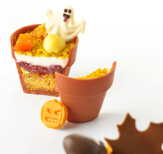 HALLOWEEN FLOWER POT