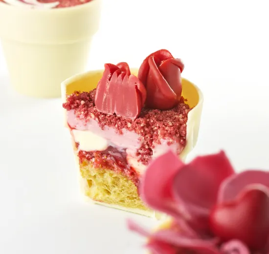 FLOWER POT MOTHER'S DAY