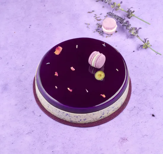 JOURNEY INTO THE WORLD - LAVANDER BLISS