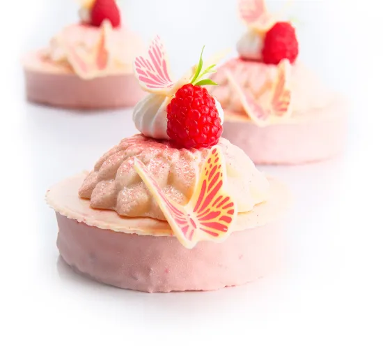 DARK CHOCOLATE AND RASPBERRY MONOPORTION