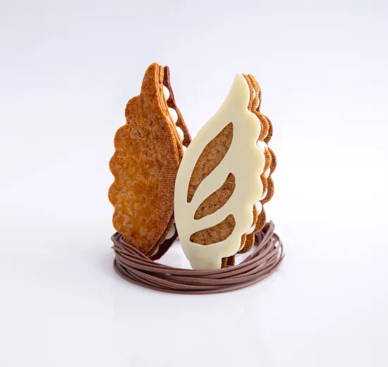 on the wings of spring