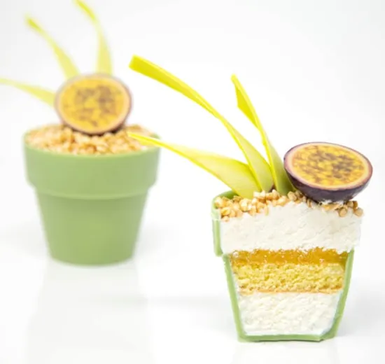 FLOWER POT EXOTIC - ALMOND