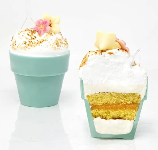 FLOWER POT BAKED ALASKA