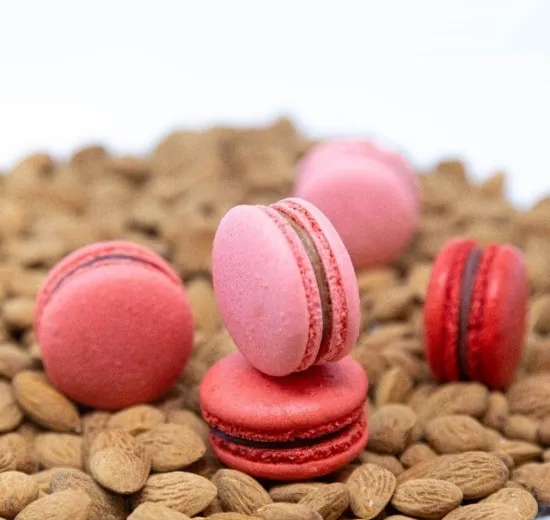 FIVE SHADES OF RASPBERRY MACARON