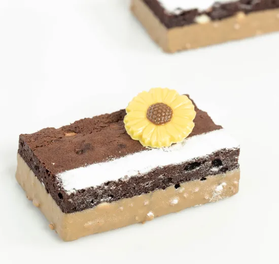 BROWNIE CAKE WITH GOCCIOLONI AND ORANGE