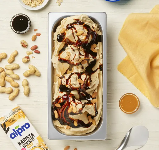 alpro arachide caramellato