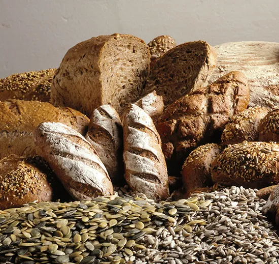 MULTI-CEREAL SEEDED DARK BREAD (MULTIGRAIN FIT)