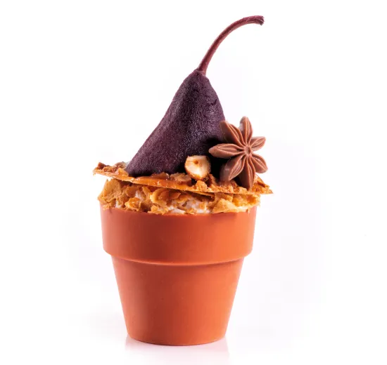 PEAR & CINNAMON FLOWER POT 
