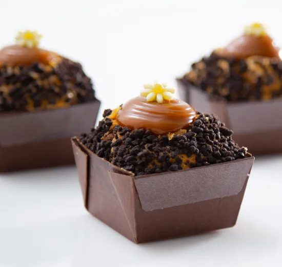 GLUTEN FREE CARAMEL MUFFINS