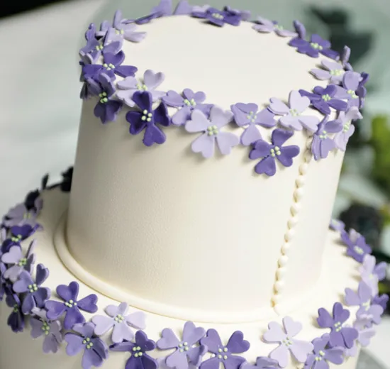 VICTORIA SPONGE CAKE-BASE PER TORTE MONUMENTALI