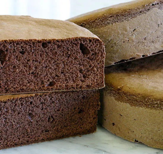 COCOA SPONGE CAKE (PARADISO)