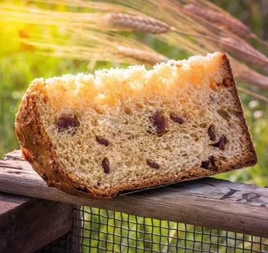 PANETTONE AI CEREALI E SEMI