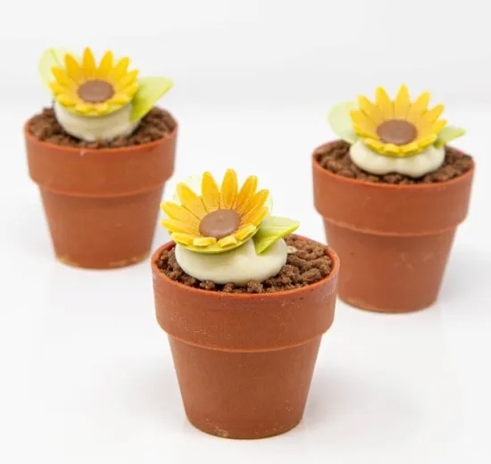 CHOCOLATE FLOWER POT