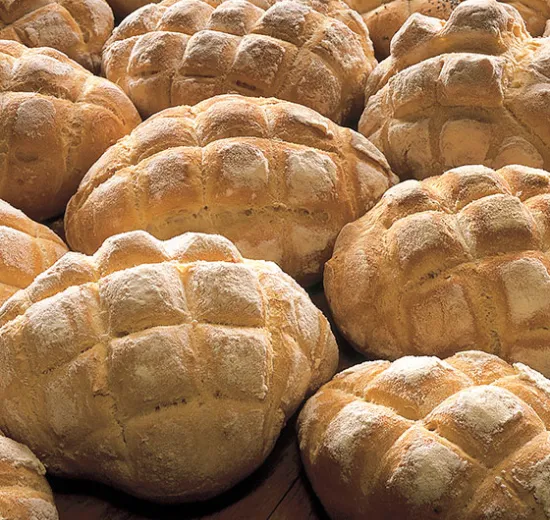 PANE TARTARUGA
